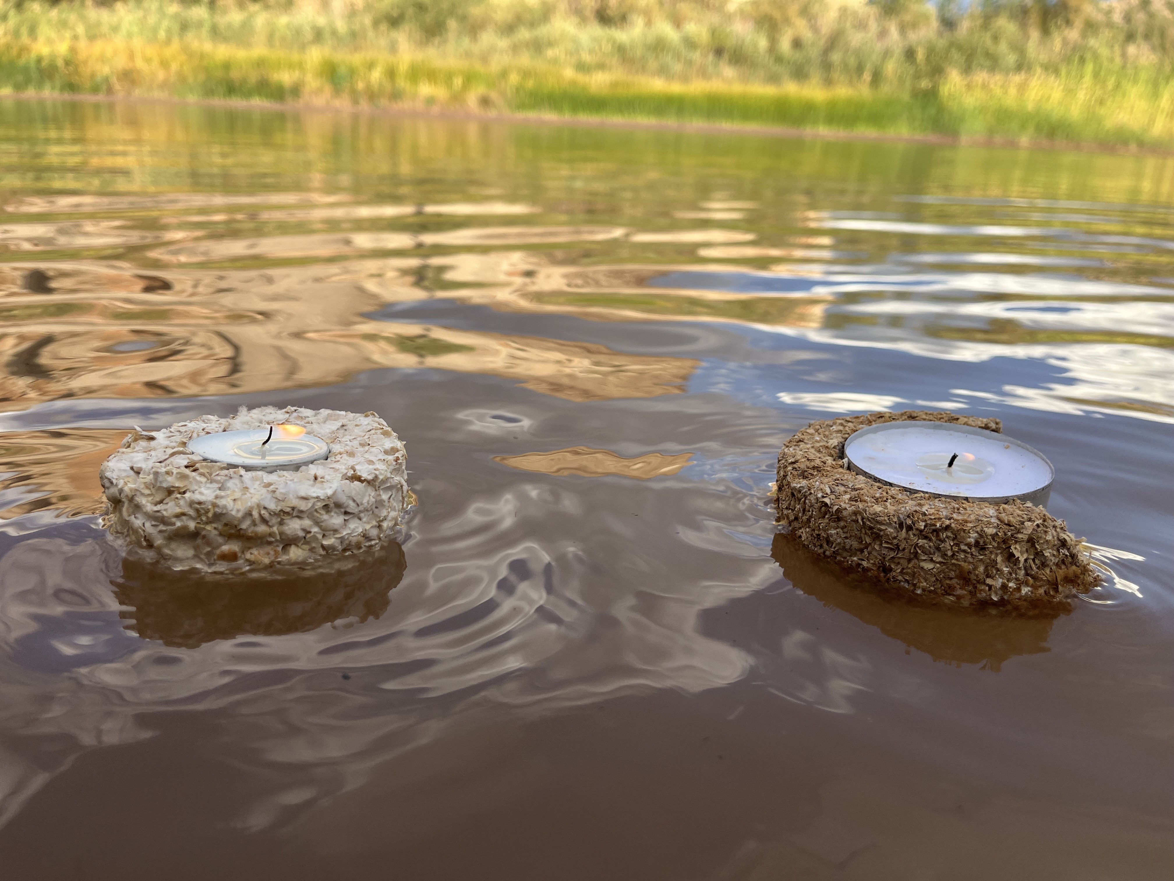 Mycelium Candle Holders
